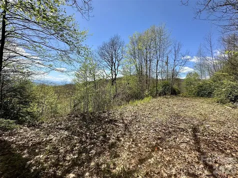 00 Aquina Mountain Maggie Valley NC 28751