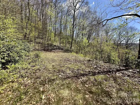 00 Aquina Mountain Maggie Valley NC 28751