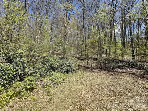 00 Aquina Mountain Maggie Valley NC 28751