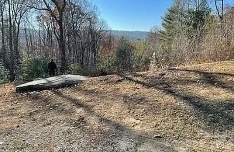 52 Lemongrass Trail Hendersonville NC 28791
