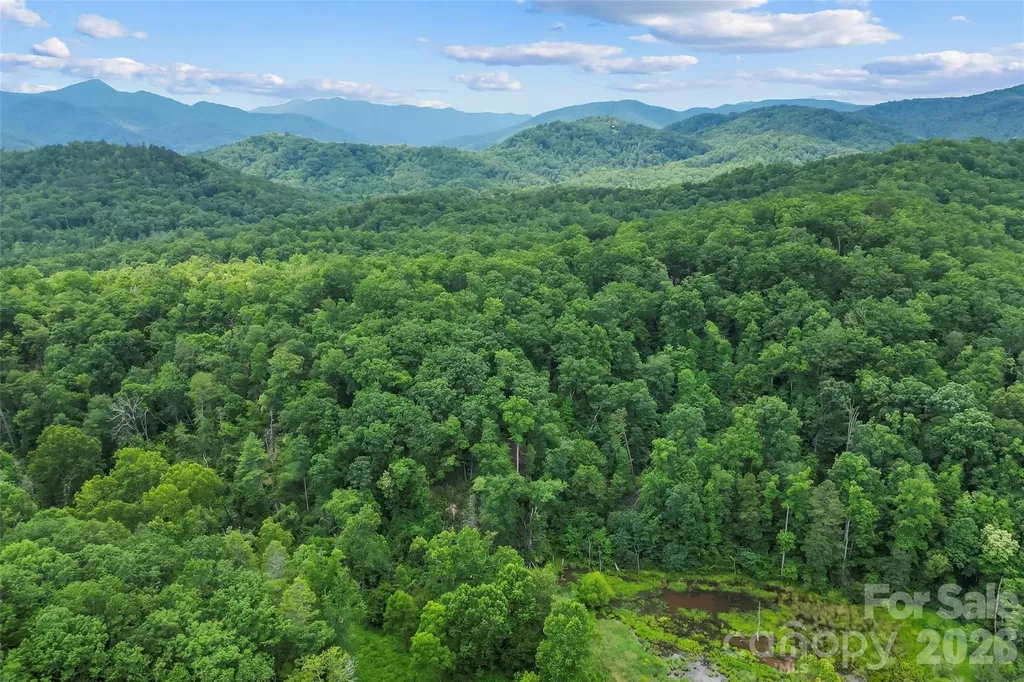 4415 Hwy 221 Highway N Marion NC 28752