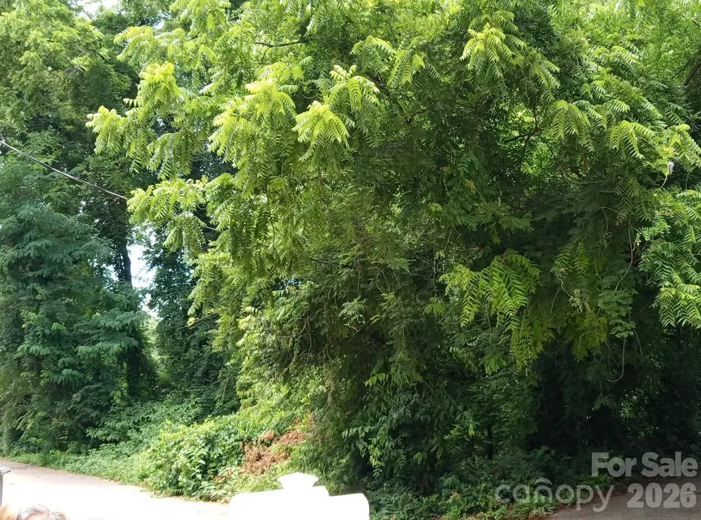 000 Ann Drive Belmont NC 28012