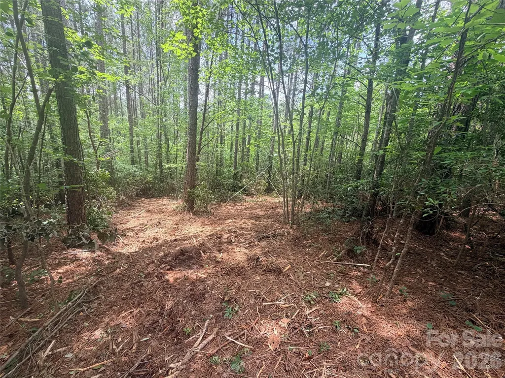 0 Gold Creek Point Union Mills NC 28167
