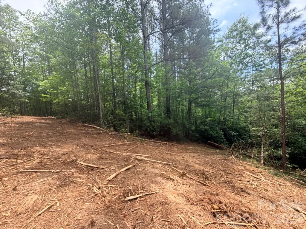 0 Gold Creek Point Union Mills NC 28167