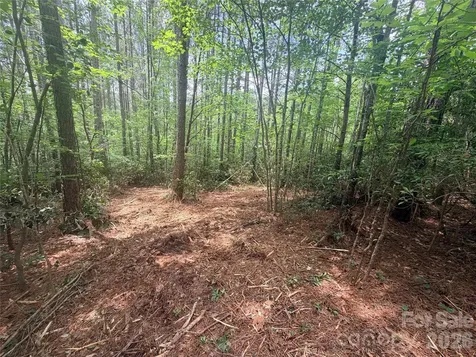 0 Gold Creek Point Union Mills NC 28167
