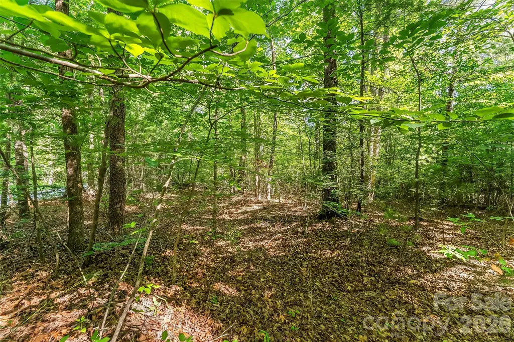2229 Old Highway 10 Highway Nebo NC 28761