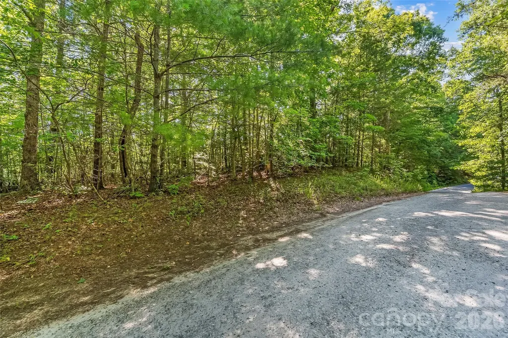2229 Old Highway 10 Highway Nebo NC 28761