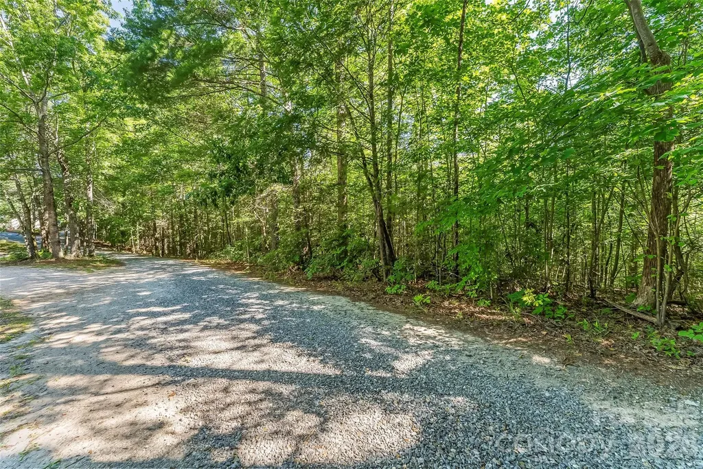 2229 Old Highway 10 Highway Nebo NC 28761
