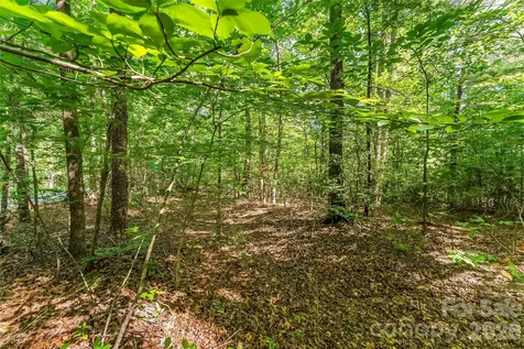 2229 Old Highway 10 Highway Nebo NC 28761