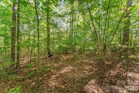2229 Old Highway 10 Highway Nebo NC 28761