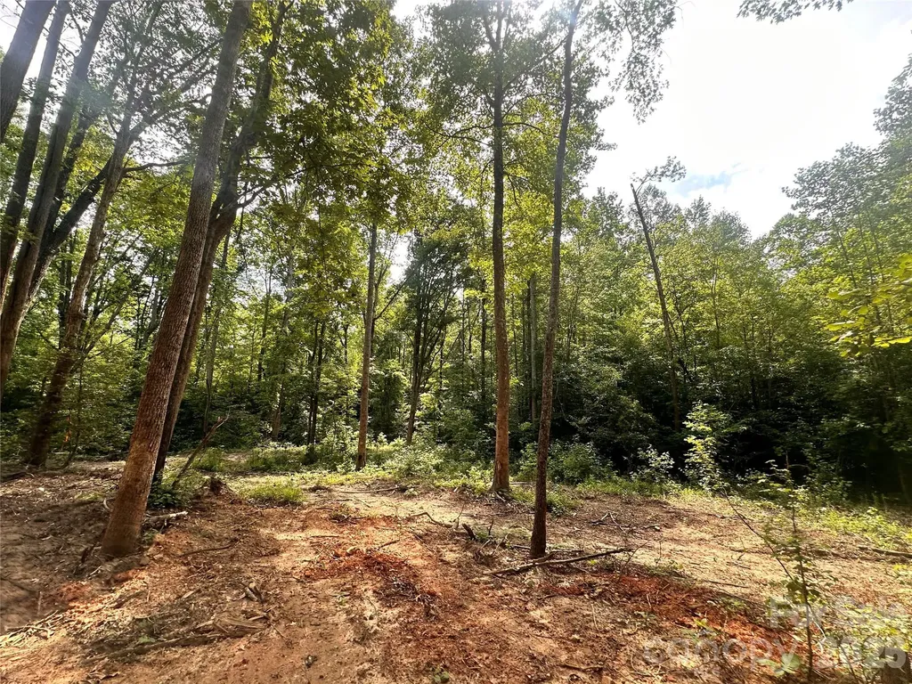 0004 Bolton Road Catawba NC 28609