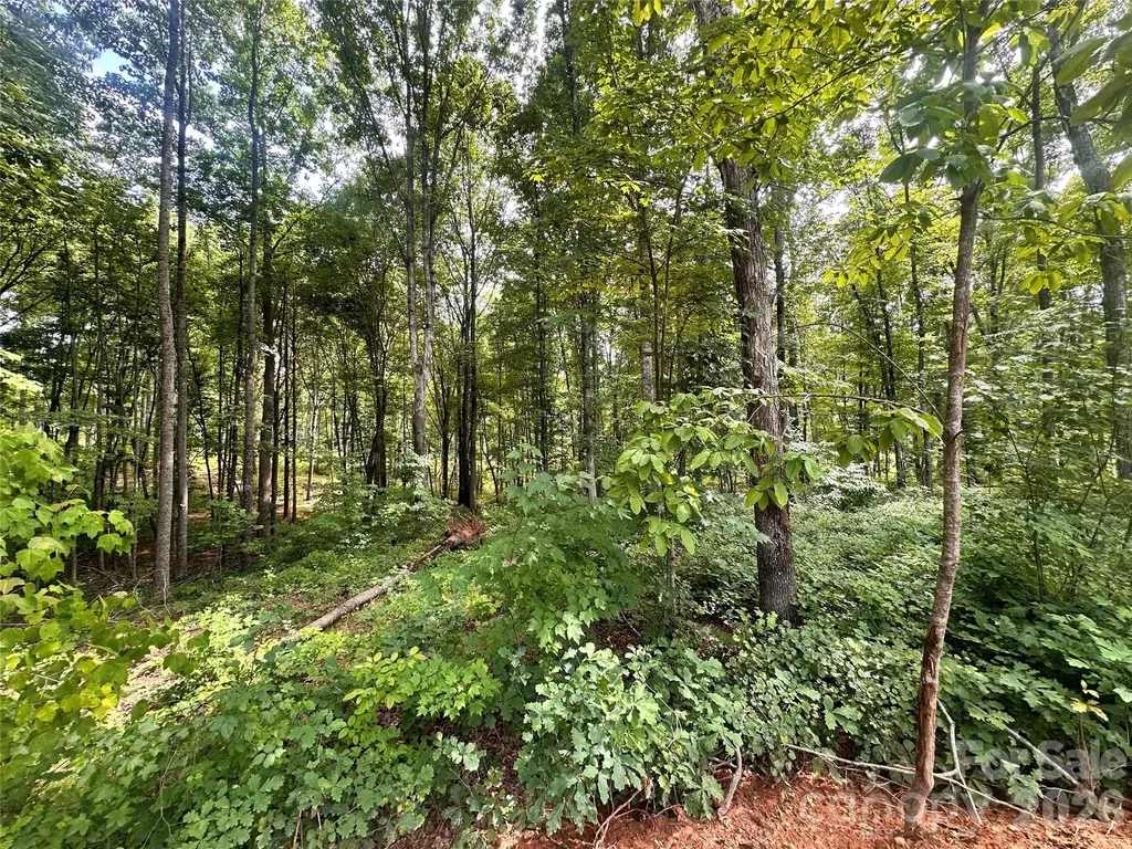 0004 Bolton Road Catawba NC 28609