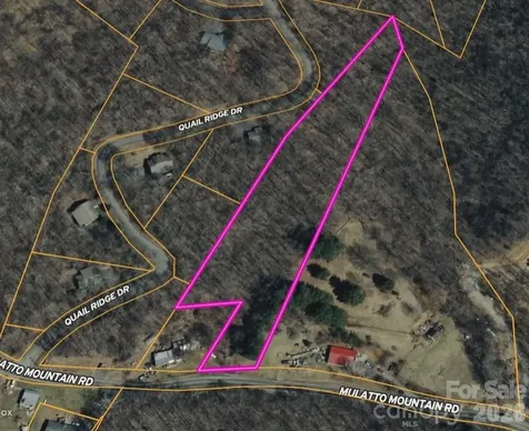 000 Mulatto Mountain Road Fleetwood NC 28626