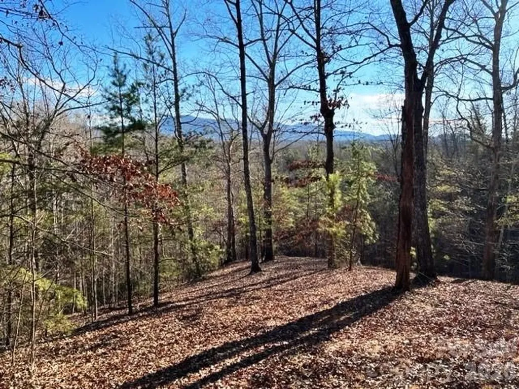Lot 17-4 N Coast Drive Mill Spring NC 28756