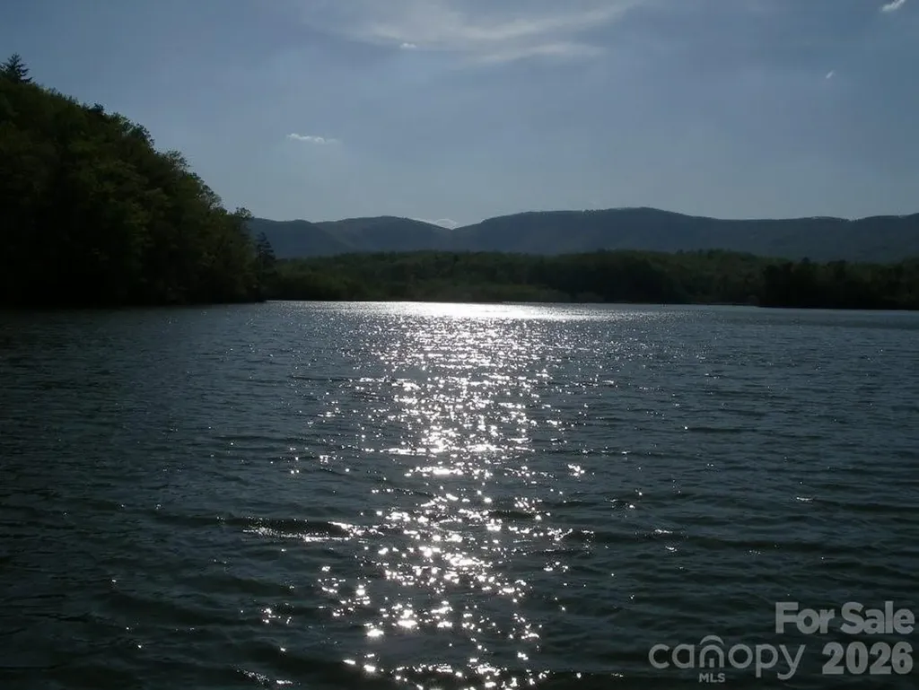 Lot 17-4 N Coast Drive Mill Spring NC 28756