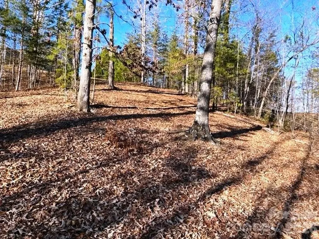 Lot 17-4 N Coast Drive Mill Spring NC 28756