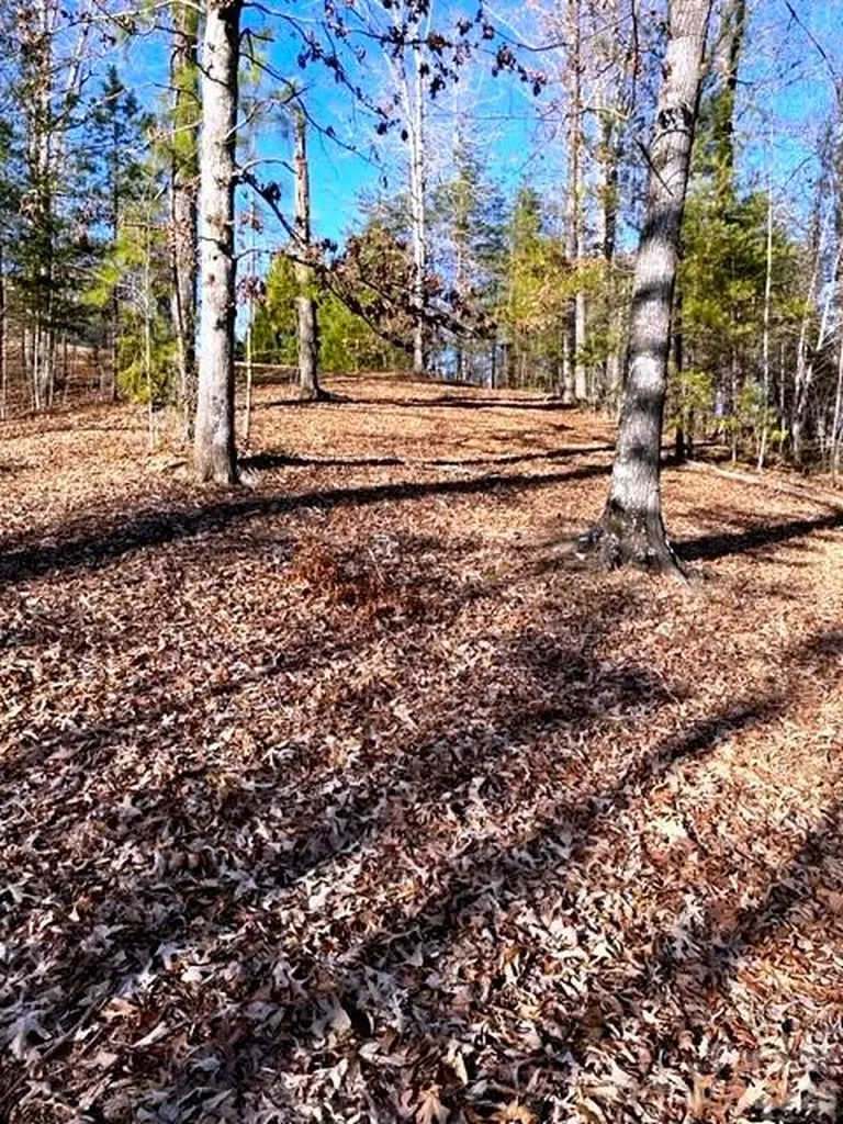 Lot 17-4 N Coast Drive Mill Spring NC 28756