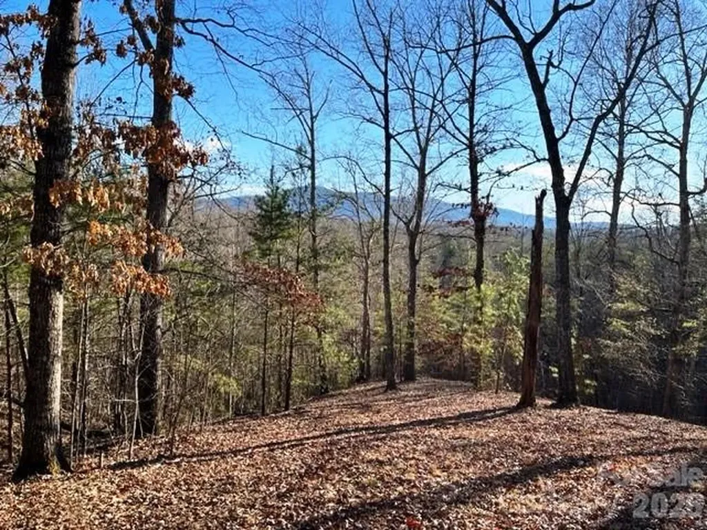 Lot 17-4 N Coast Drive Mill Spring NC 28756