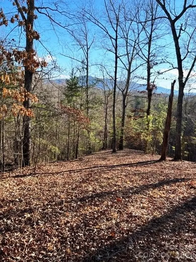 Lot 17-4 N Coast Drive Mill Spring NC 28756