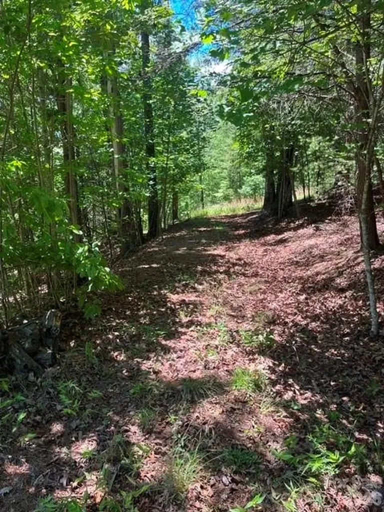 Lot 17-4 N Coast Drive Mill Spring NC 28756