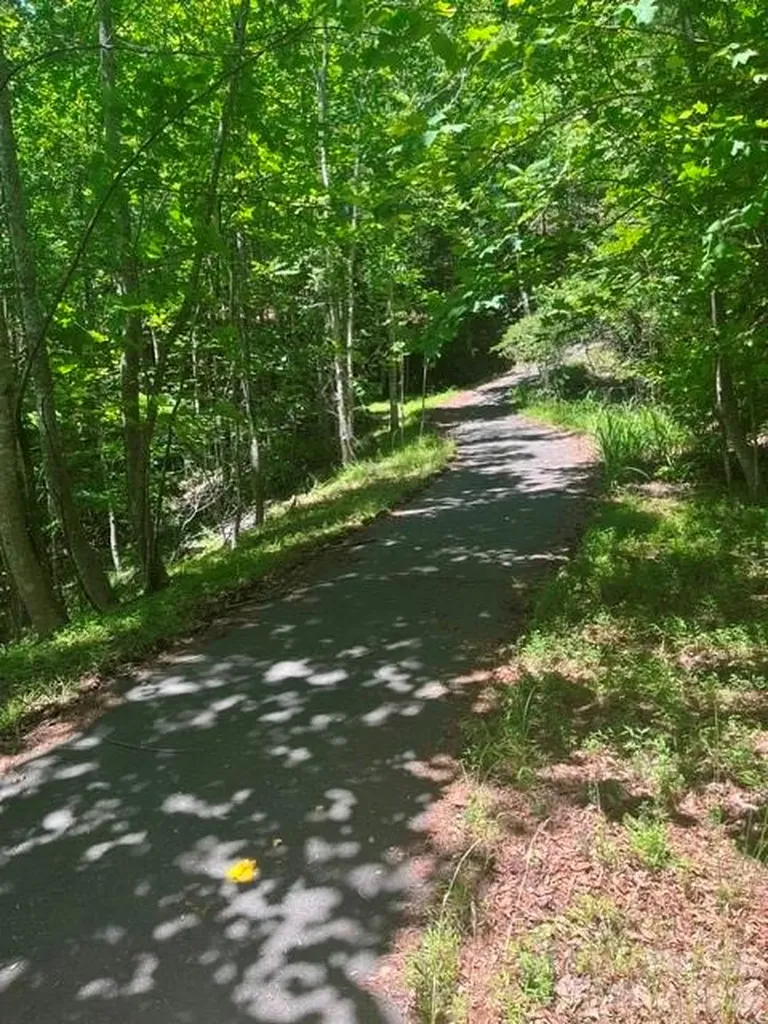 Lot 17-4 N Coast Drive Mill Spring NC 28756