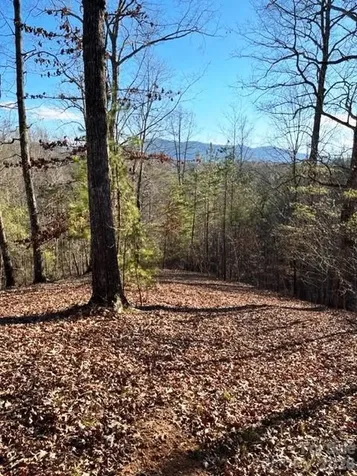 Lot 17-4 N Coast Drive Mill Spring NC 28756