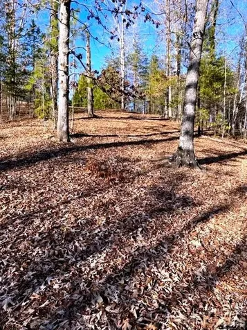 Lot 17-4 N Coast Drive Mill Spring NC 28756