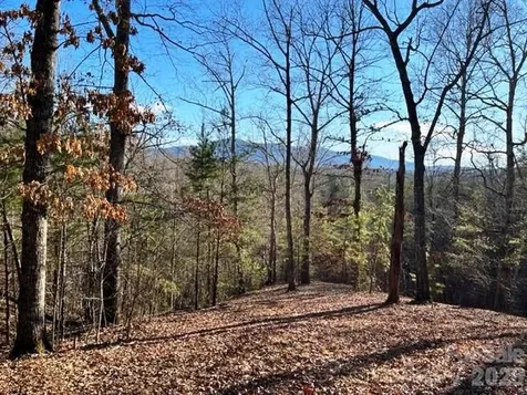 Lot 17-4 N Coast Drive Mill Spring NC 28756