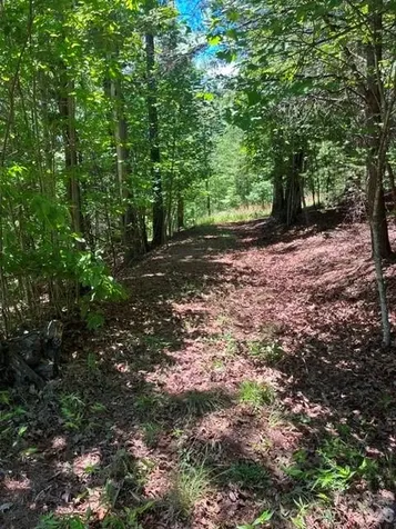 Lot 17-4 N Coast Drive Mill Spring NC 28756