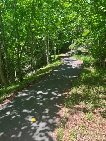 Lot 17-4 N Coast Drive Mill Spring NC 28756