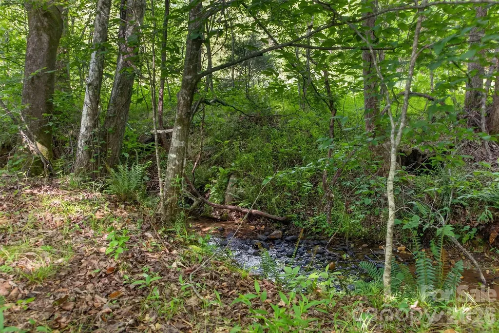 485 Frog Creek Road Union Mills NC 28167