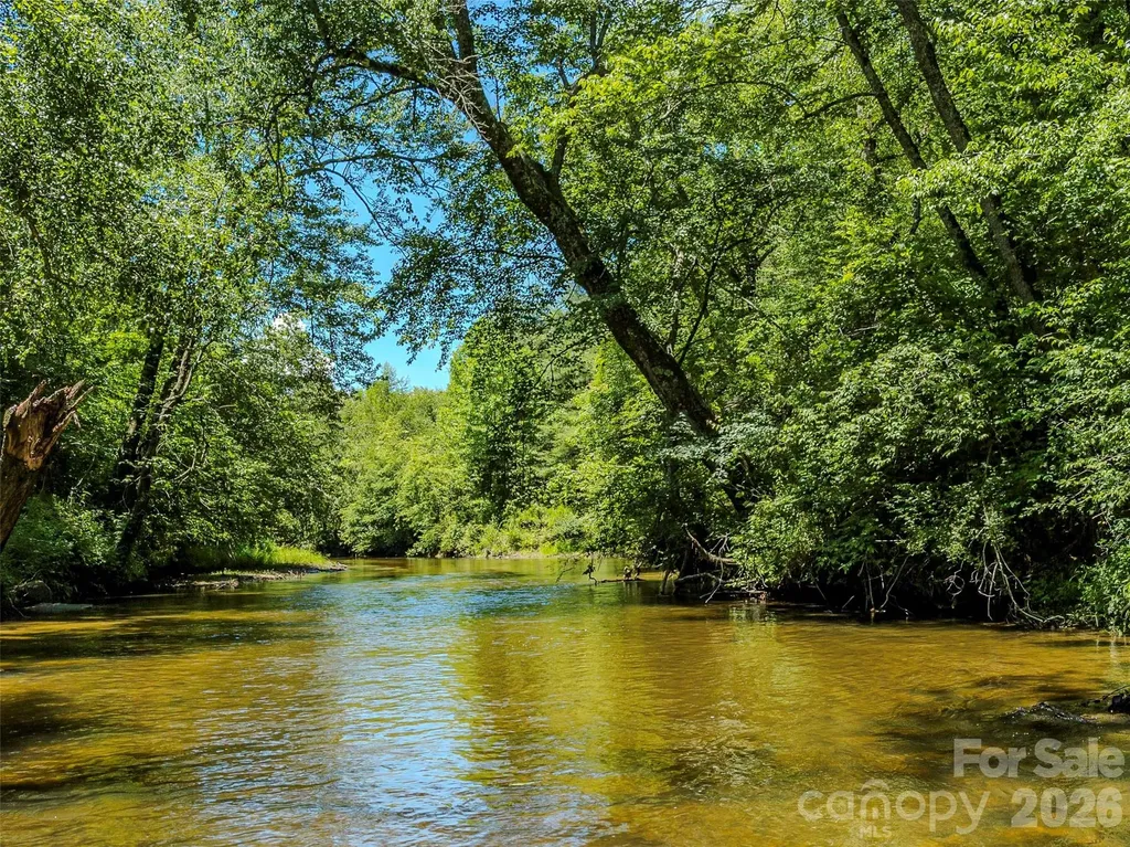 Tbd Canebrake Road Pisgah Forest NC 28768