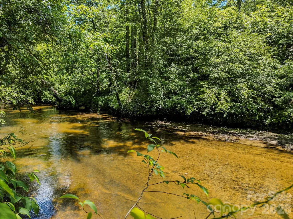 Tbd Canebrake Road Pisgah Forest NC 28768