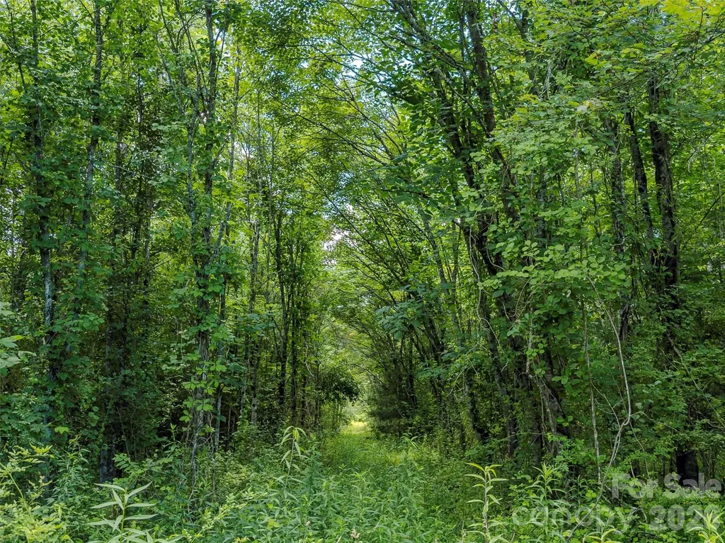 Tbd Canebrake Road Pisgah Forest NC 28768