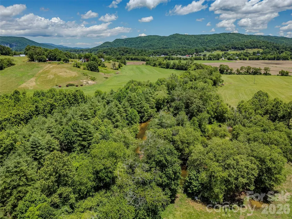 Tbd Canebrake Road Pisgah Forest NC 28768