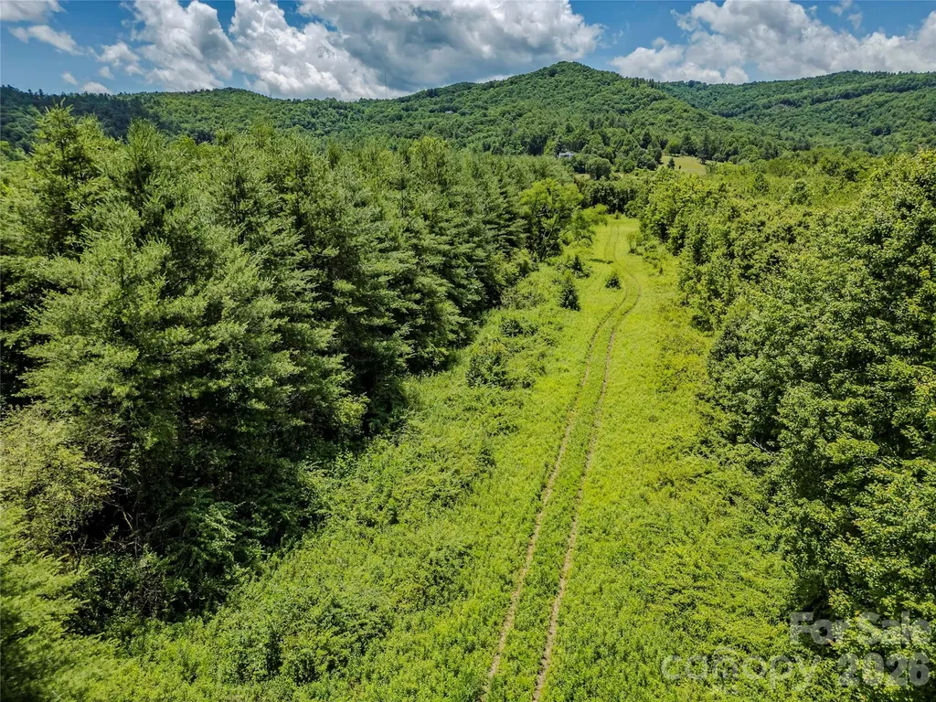 Tbd Canebrake Road Pisgah Forest NC 28768