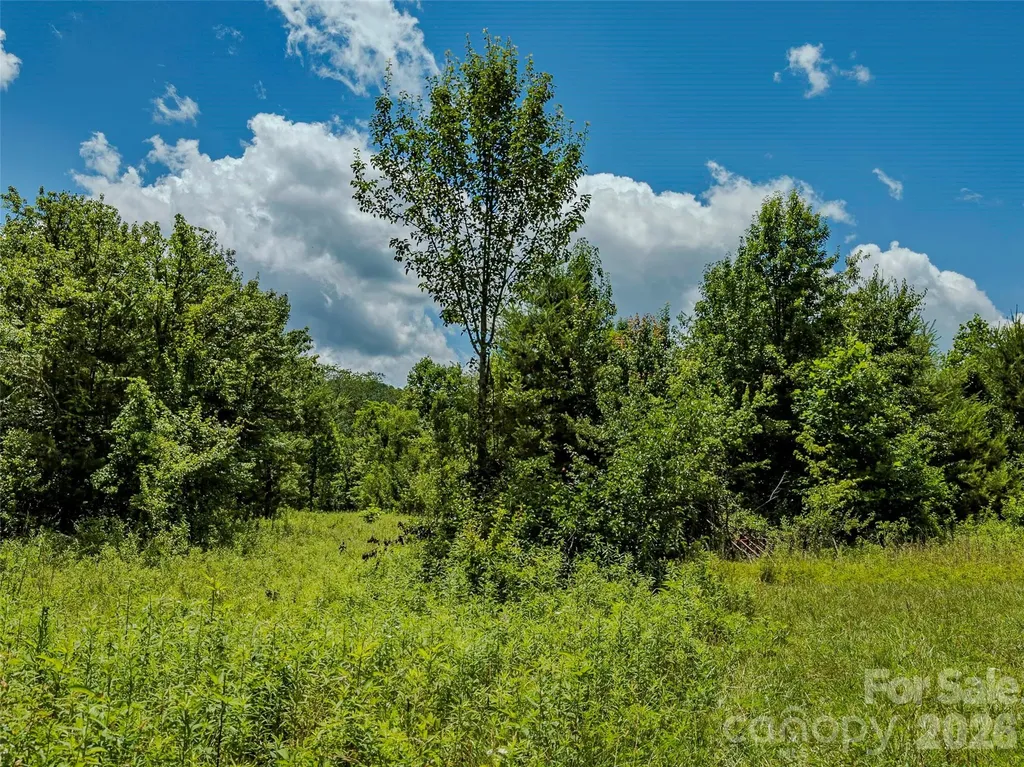 Tbd Canebrake Road Pisgah Forest NC 28768