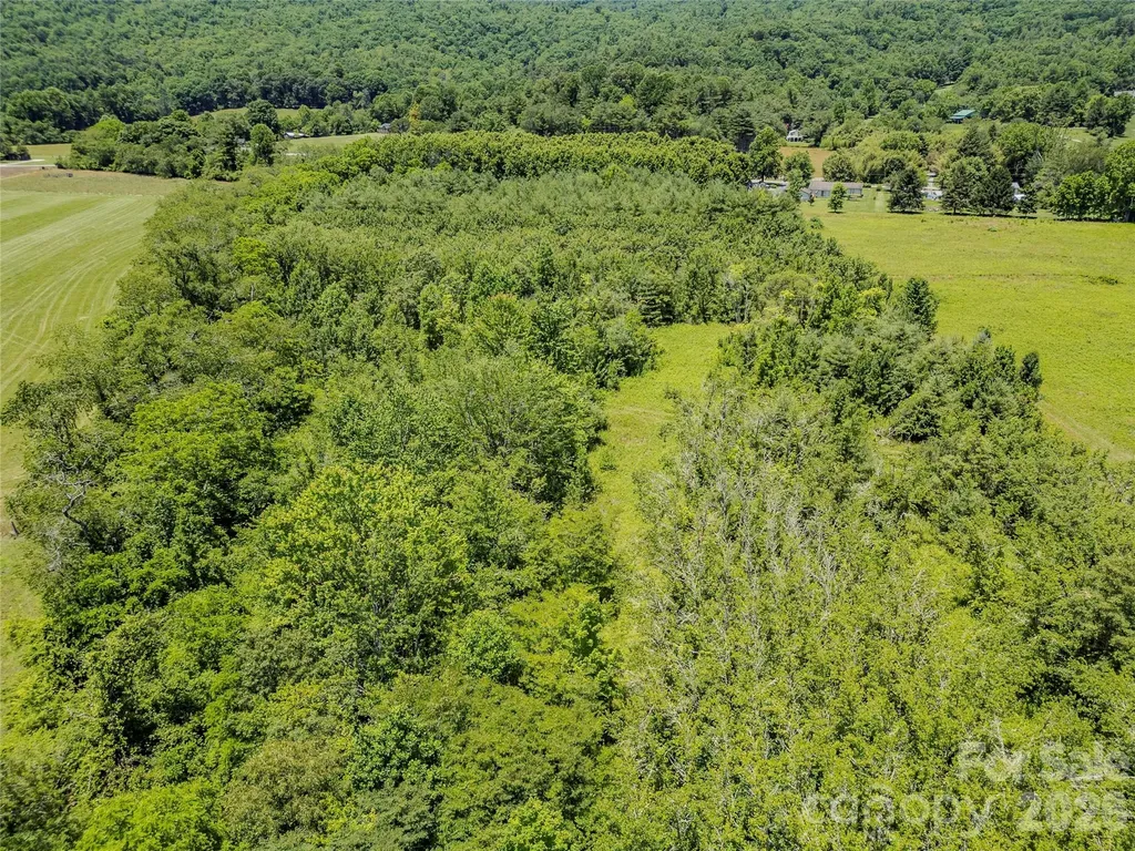 Tbd Canebrake Road Pisgah Forest NC 28768
