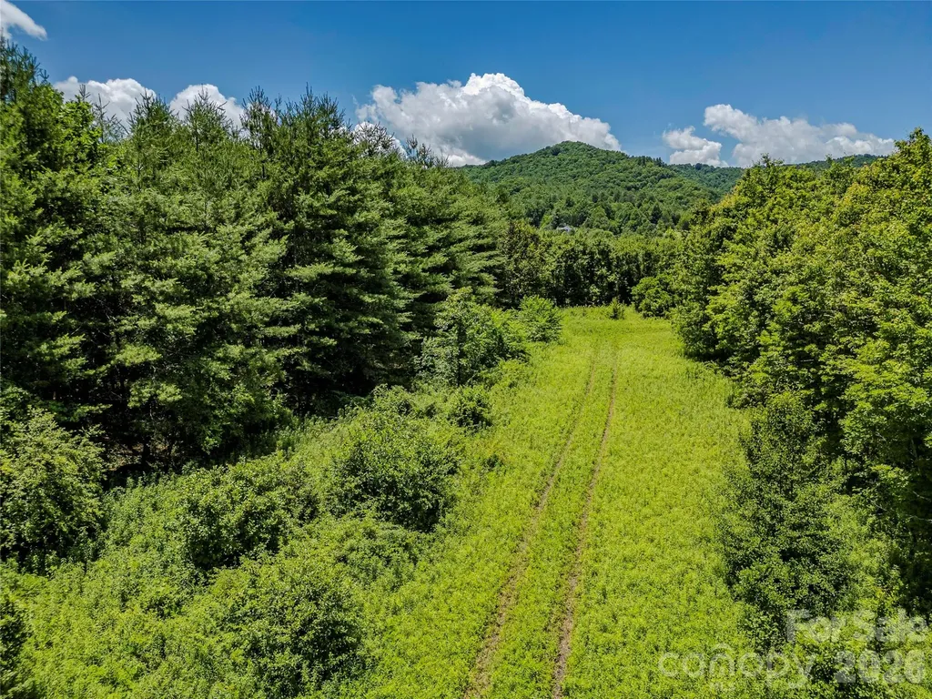 Tbd Canebrake Road Pisgah Forest NC 28768