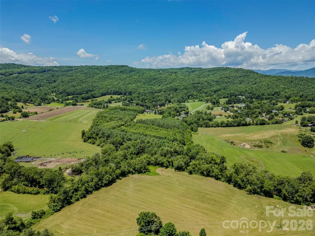 Tbd Canebrake Road Pisgah Forest NC 28768