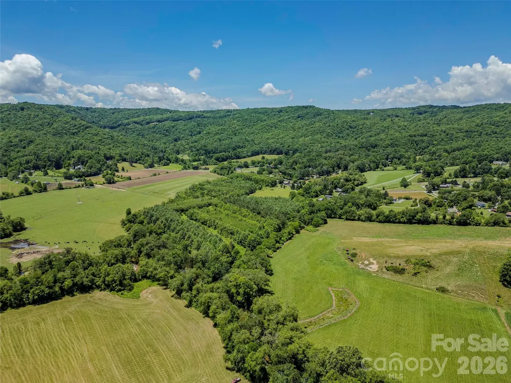 Tbd Canebrake Road Pisgah Forest NC 28768