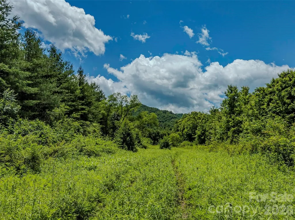 Tbd Canebrake Road Pisgah Forest NC 28768