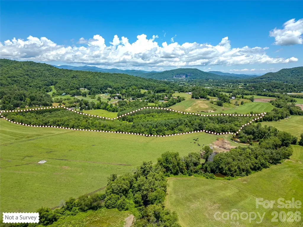 Tbd Canebrake Road Pisgah Forest NC 28768