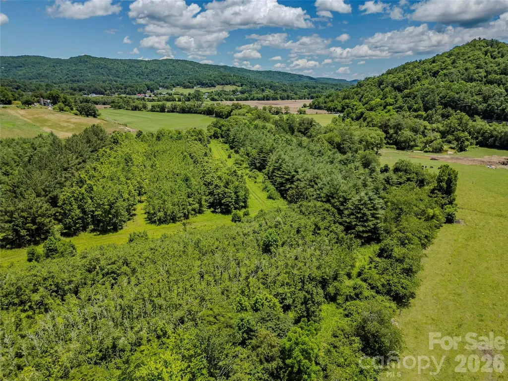 Tbd Canebrake Road Pisgah Forest NC 28768