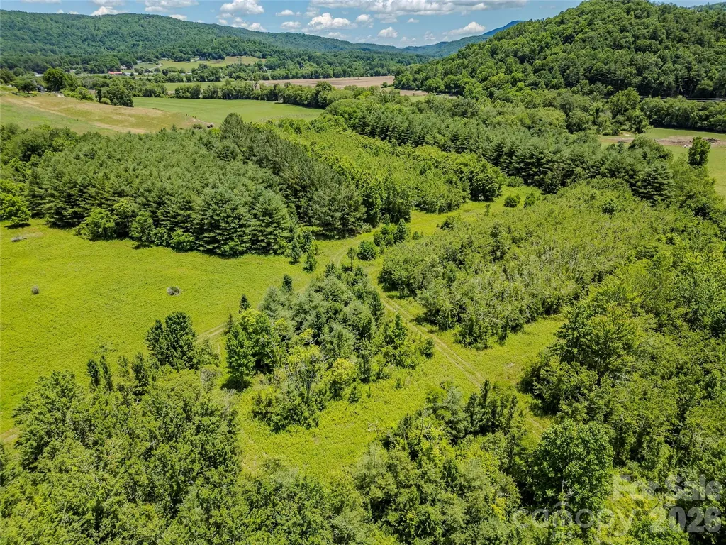 Tbd Canebrake Road Pisgah Forest NC 28768