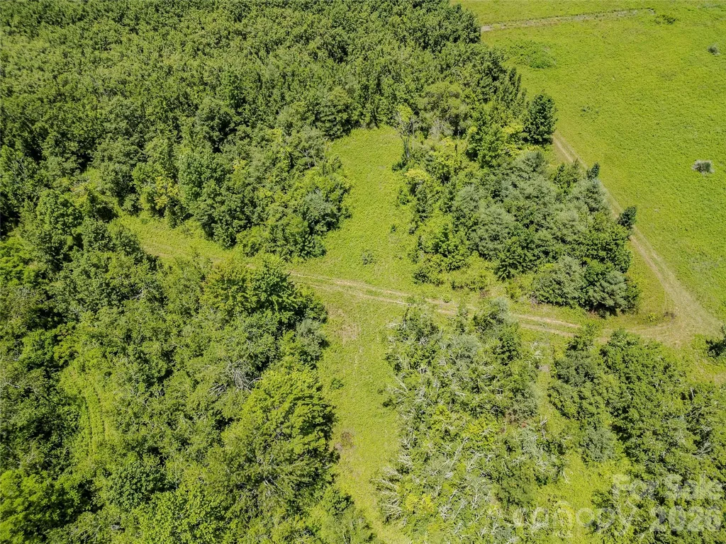 Tbd Canebrake Road Pisgah Forest NC 28768