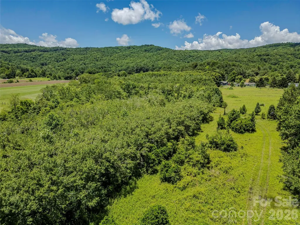 Tbd Canebrake Road Pisgah Forest NC 28768