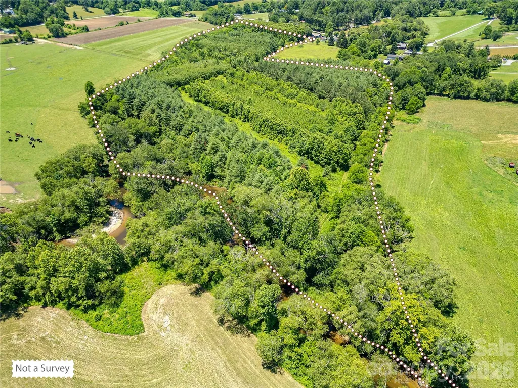 Tbd Canebrake Road Pisgah Forest NC 28768