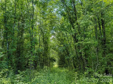Tbd Canebrake Road Pisgah Forest NC 28768