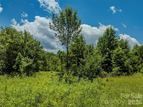 Tbd Canebrake Road Pisgah Forest NC 28768